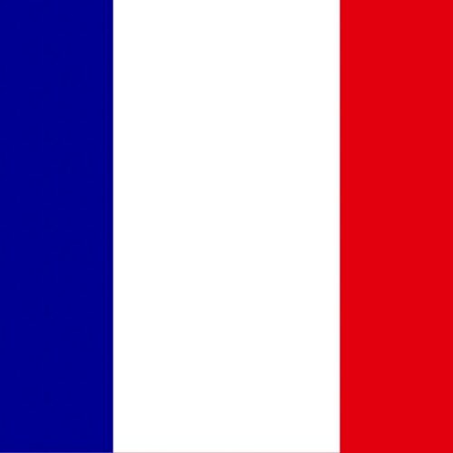 French Flag